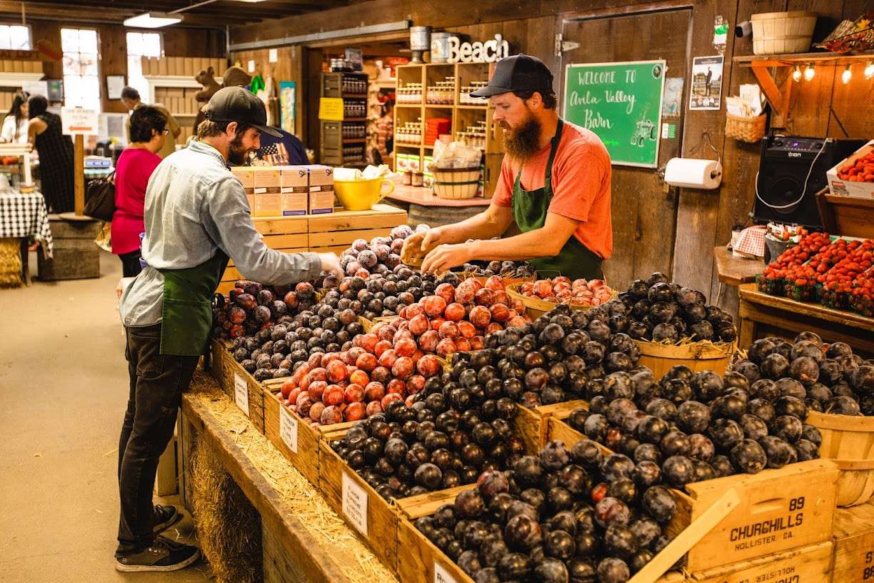 Kelsey See Canyon Vineyards