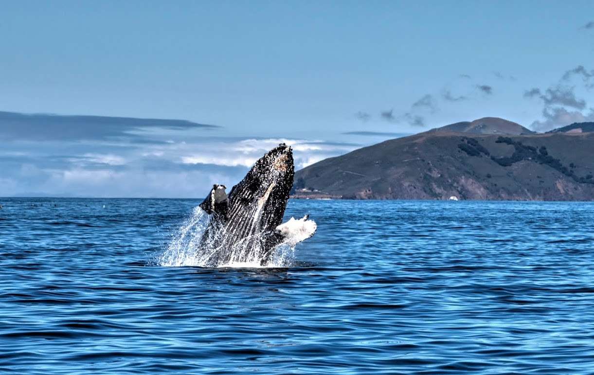 Whalers Beach kayak access