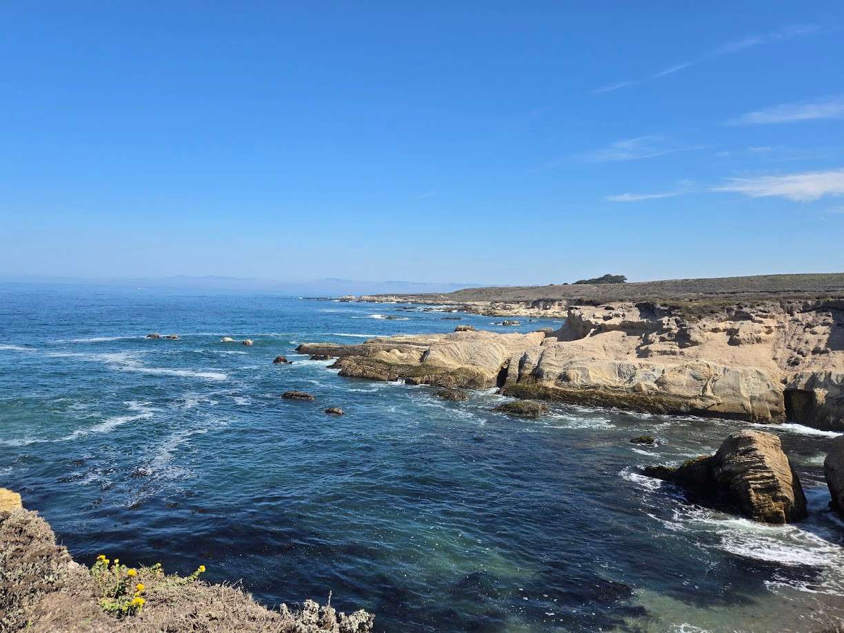 Wildflowers at Montana de Oro
