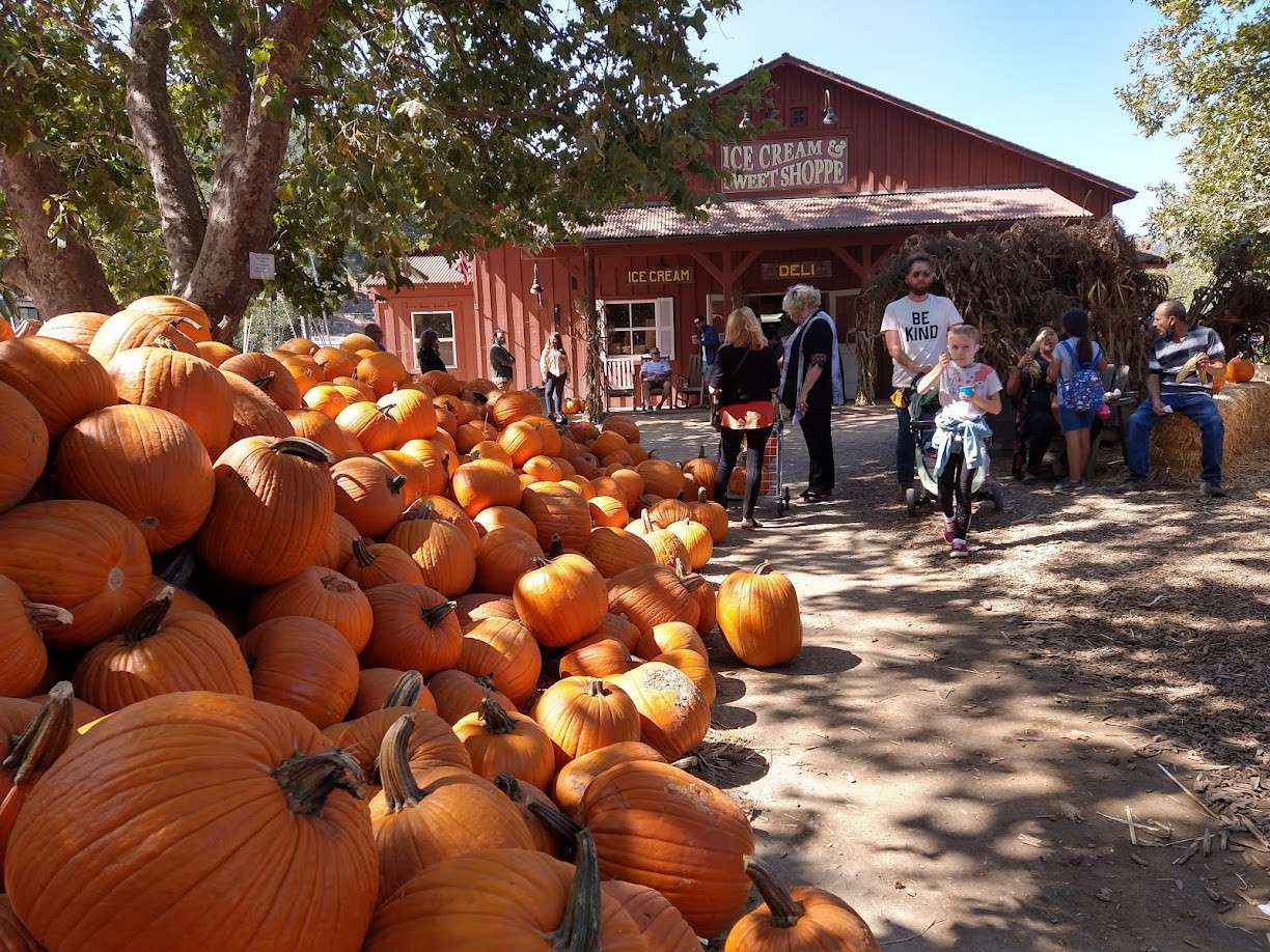 Pumpkins on the Pier