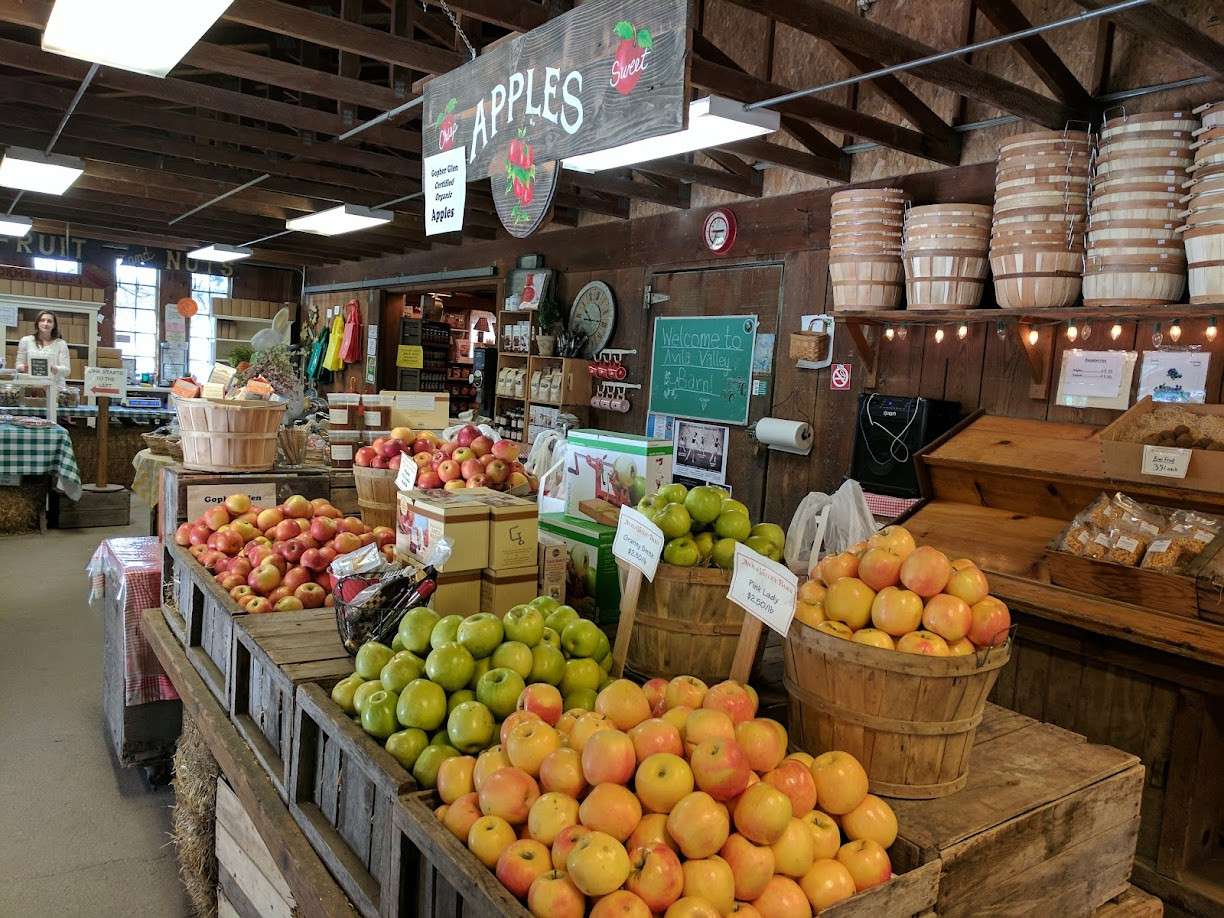 Avila Beach Farmers Market